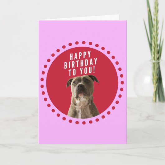 ピットブルドッグハッピーバースデーピンクドットグリーティングカード カード (正面)