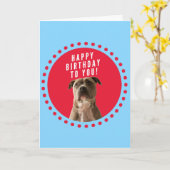 ピットブルドッグハッピーバースデーブルーグリーティングカード カード (黄色い花)