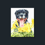 ピットブルドッグ水絵画色のファインアート キャンバスプリント<br><div class="desc">これは水の色の絵画黒いピットブルドッグの顔に巨大なスマイルを持つ彼女の後ろにステラd' Oro Daylily.絵画エレガント愛犬家</div>