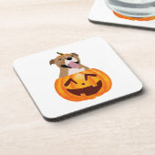 ピットブルハロウィーン コースター (左側)