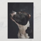 ピットブルバー メニュー (裏面)