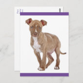 ピットブルパピードッグ空白のはがき ポストカード (正面/裏面)