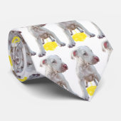 ピットブルパピーピードルズOOPS ネクタイ (ロール)