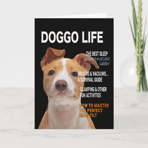 ピットブルパロディーマガジンカバーカード カード