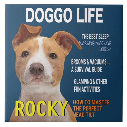 ピットブルパロディーマガジンカバー タイル (正面)