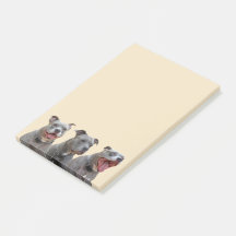 ピットブルパーソナリティノート