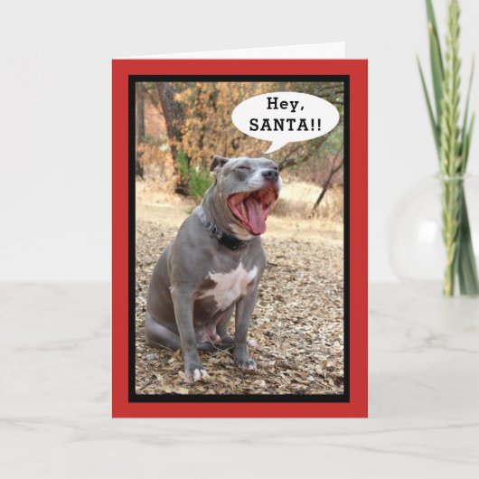 ピットブルヘイサンタクリスマスカード シーズンカード (正面)