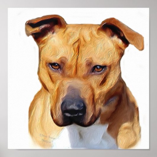 ピットブルポスター ポスター (正面)