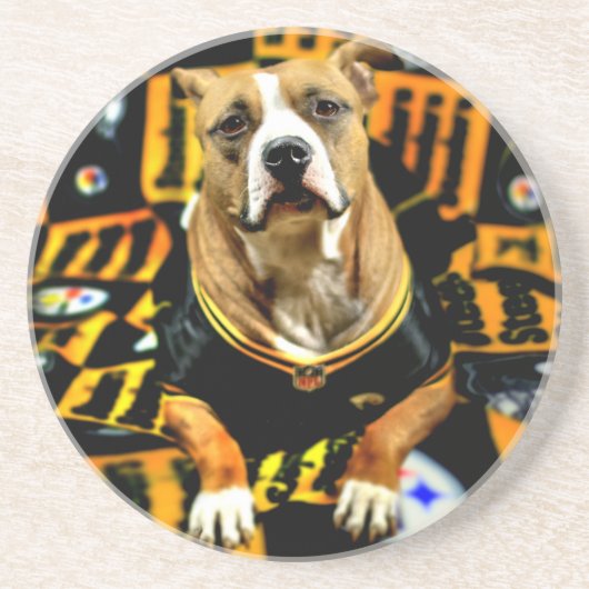 ピットブルレスキュー犬サッカーファン コースター (正面)