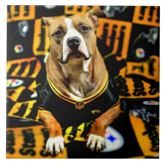 ピットブルレスキュー犬サッカーファン タイル (正面)