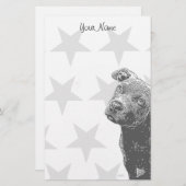 ピットブル子犬静止 便箋 (正面/裏面)