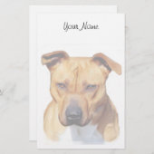 ピットブル定常 便箋 (正面/裏面)