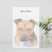 ピットブル定常 便箋 (スタンド正面)