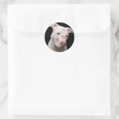 ピットブル恋人 ラウンドシール (バッグ)