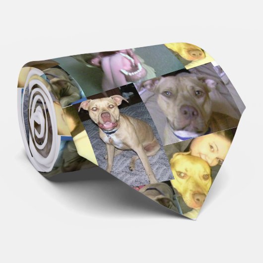 ピットブル愛 ネクタイ (ロール)
