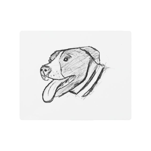 ピットブル手描き写真犬動物愛好家ポスター メタルプリント (正面)