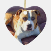 ピットブル犬のオーナメント セラミックオーナメント (裏面)