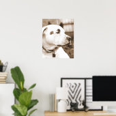 ピットブル犬セピア憎悪行為が繁殖しない ポスター (ホームオフィス)