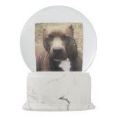 ピットブル犬ペット写真のカスタムな雪の地球 スノーグローブ (裏面)