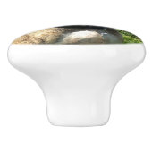 ピットブル犬 セラミックノブ (側面)