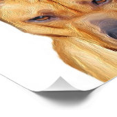 ピットブル犬 フォトプリント            (角)