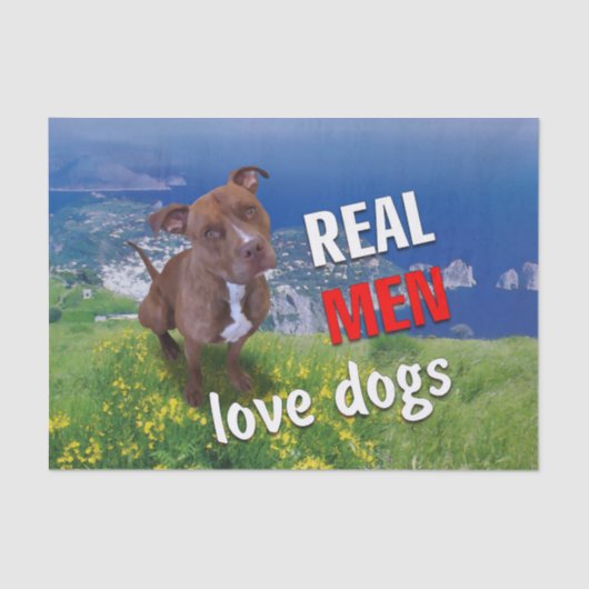 ピットブル犬 薄葉紙 (正面)