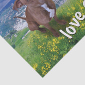 ピットブル犬 薄葉紙 (詳細)