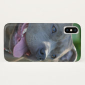 ピットブル犬iphone xケース Case-Mate iPhoneケース (裏面(横))