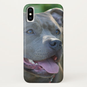 ピットブル犬iphone xケース iPhone x ケース