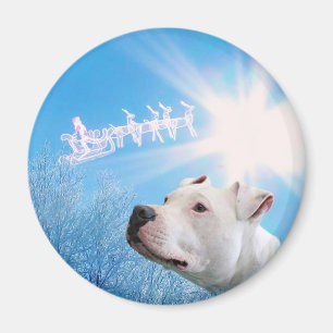 ピットブル白い犬のクリスマスの願い マグネット