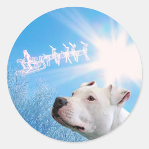 ピットブル白い犬のクリスマスの願い ラウンドシール