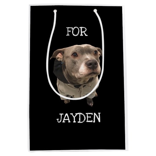 ピットブル着用フード付きスウェットシャツ抱き枕 ミディアムペーパーバッグ (正面)