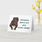 ピットブル考えのグリーティングカード カード (黄色い花)