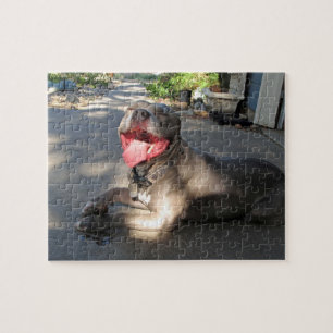 ピットブル薄く水っぽい犬のキスのパズル ジグソーパズル
