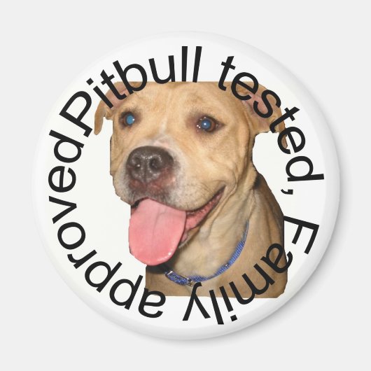 ピットブル試験磁石 マグネット (正面)