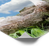 ピットブル(アメリカ(犬)スタッフォード・テリア)ポスター ポスター (角)