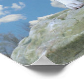 ピットブル(アメリカ(犬)スタッフォード・テリア)ポスター ポスター (角)