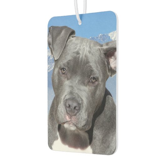 ピットブル カーエアーフレッシュナー (左)