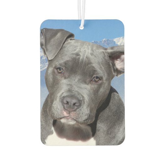 ピットブル カーエアーフレッシュナー (裏面)