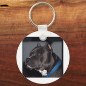 ピットブル キーホルダー (正面)