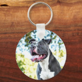 ピットブル キーホルダー (正面)