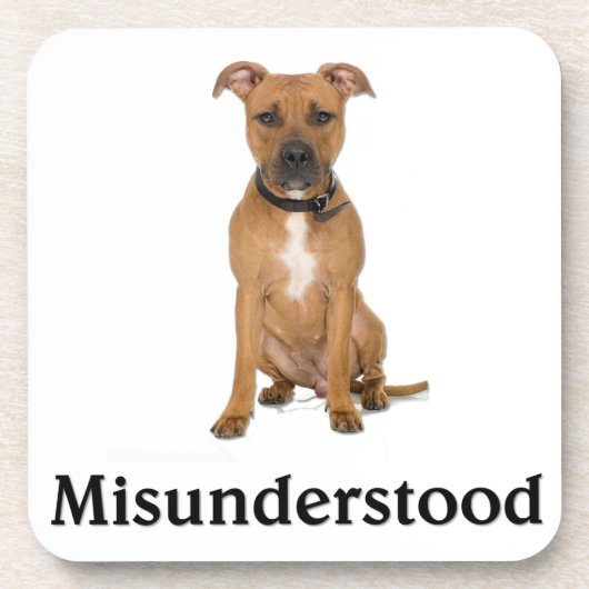 ピットブル コースター (正面)