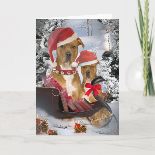 ピットブル「サンタのそり」のカード シーズンカード (正面)