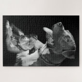 ピットブル ジグソーパズル (横)