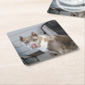 ピットブル スクエアペーパーコースター (アングル)