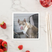 ピットブル スタンダードカクテルナプキン (インサイチュ)