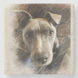 ピットブル ストーンコースター