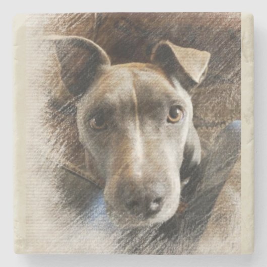 ピットブル ストーンコースター (正面)