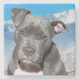 ピットブル ストーンコースター