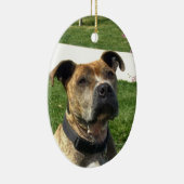 ピットブル セラミックオーナメント (右)